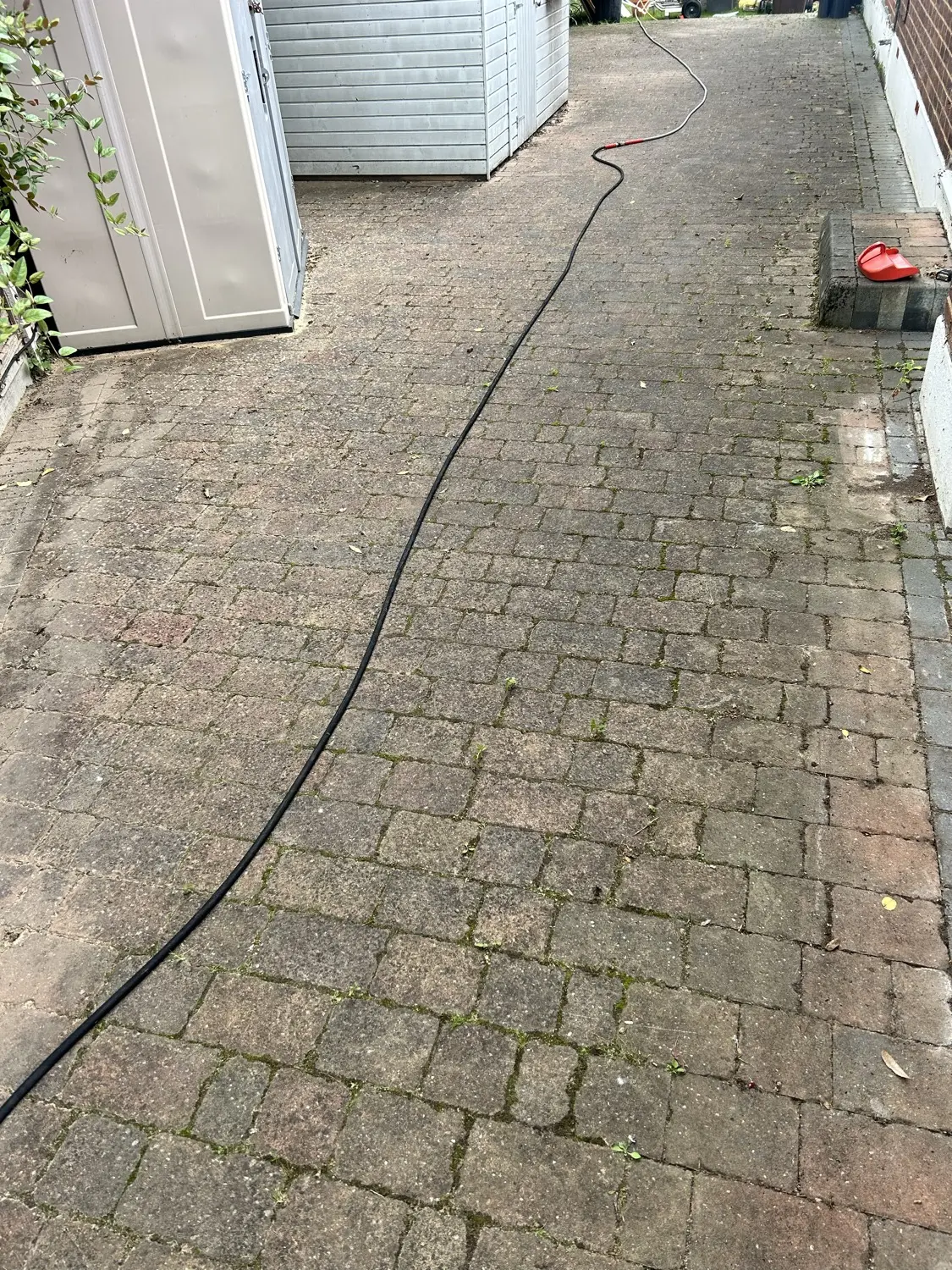 Before: Moss-covered side path
